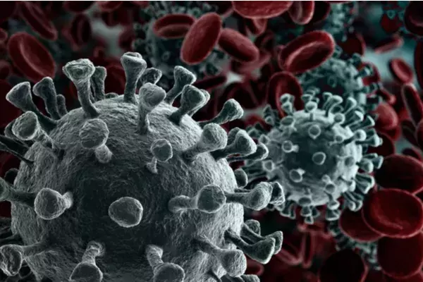 COVID-19 virus in blood stream