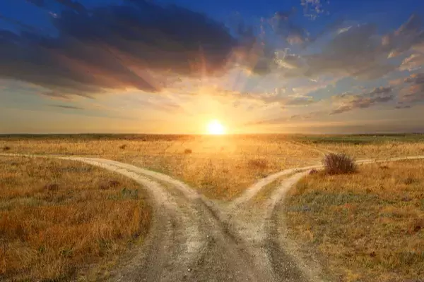 A fork in the road